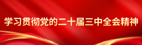 学习贯彻党的二十届三中全会精神