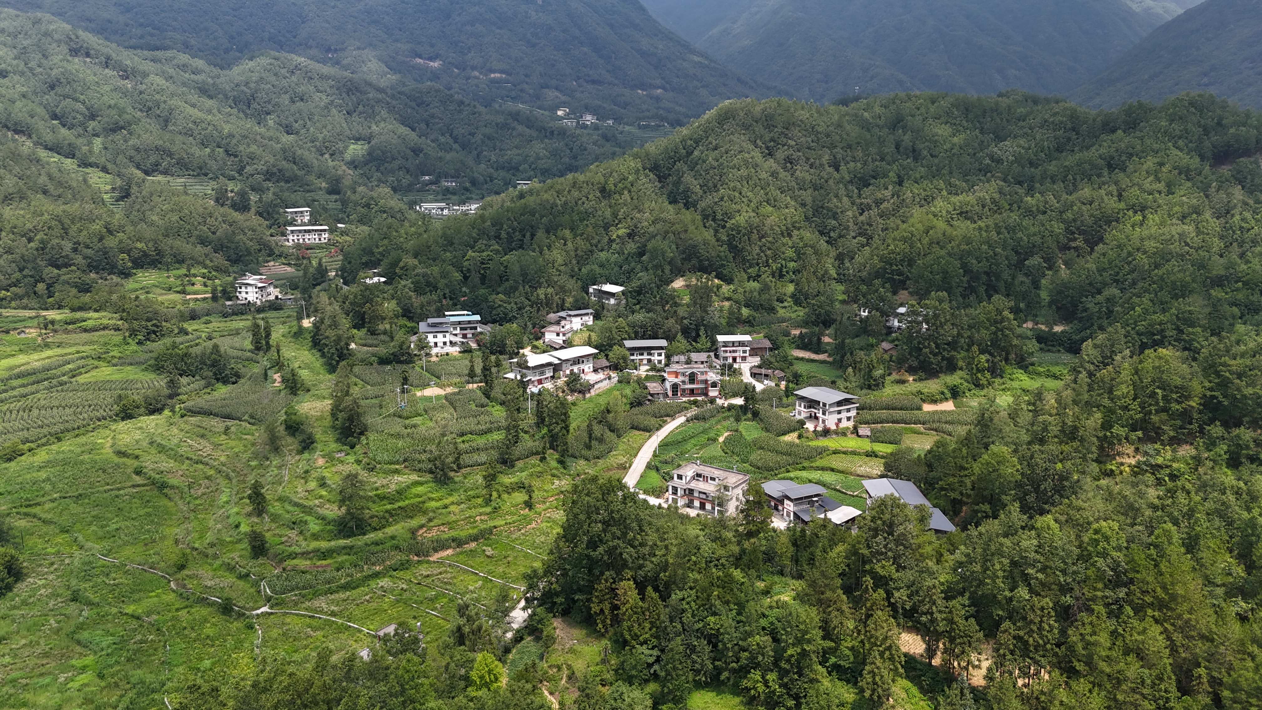 森林纯氧·茶坊小田茶旅康养融合项目